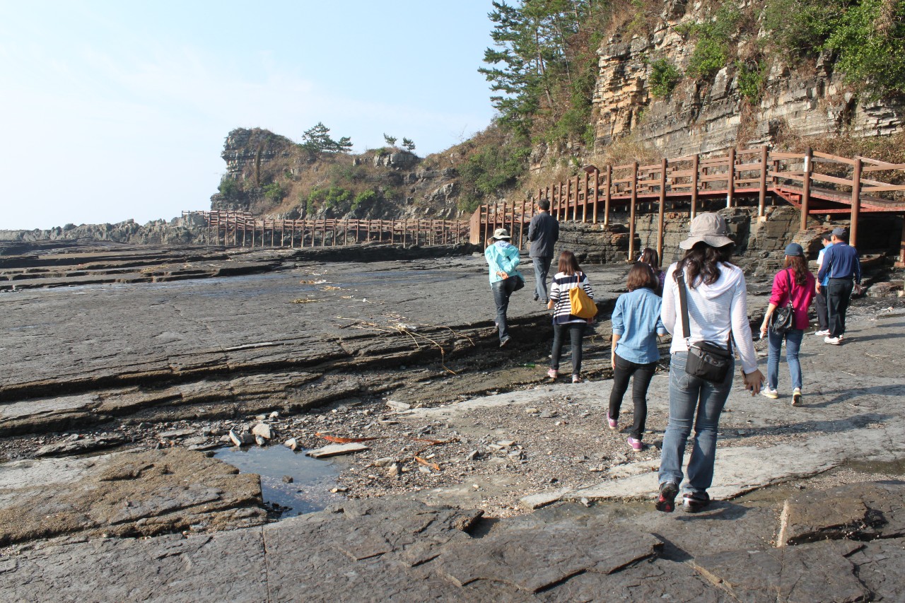 고성 공룡 관련 활동